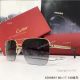 AAA Grade Cartier Edition Santos-Dumont Copy Sunglasses Double-bar Sunglasses (5)_th.jpg